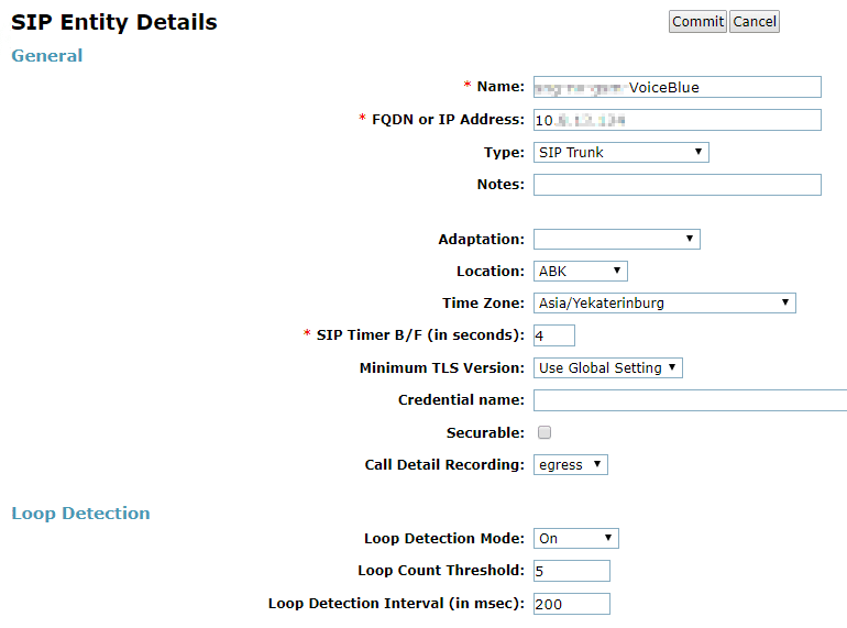 SIP Entity Details